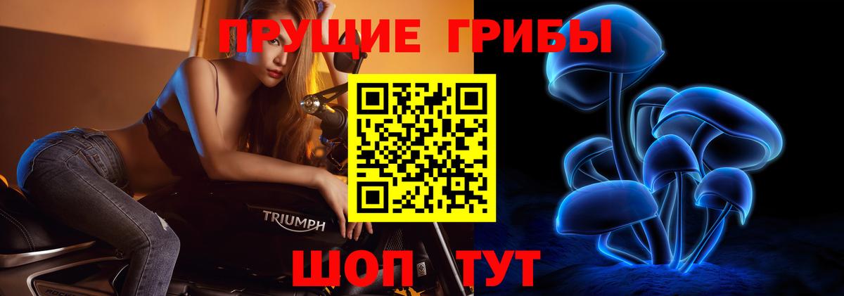 Сосновоборск  Галлюциногенные грибы MAGIC MUSHROOMS  Вход с VPN 